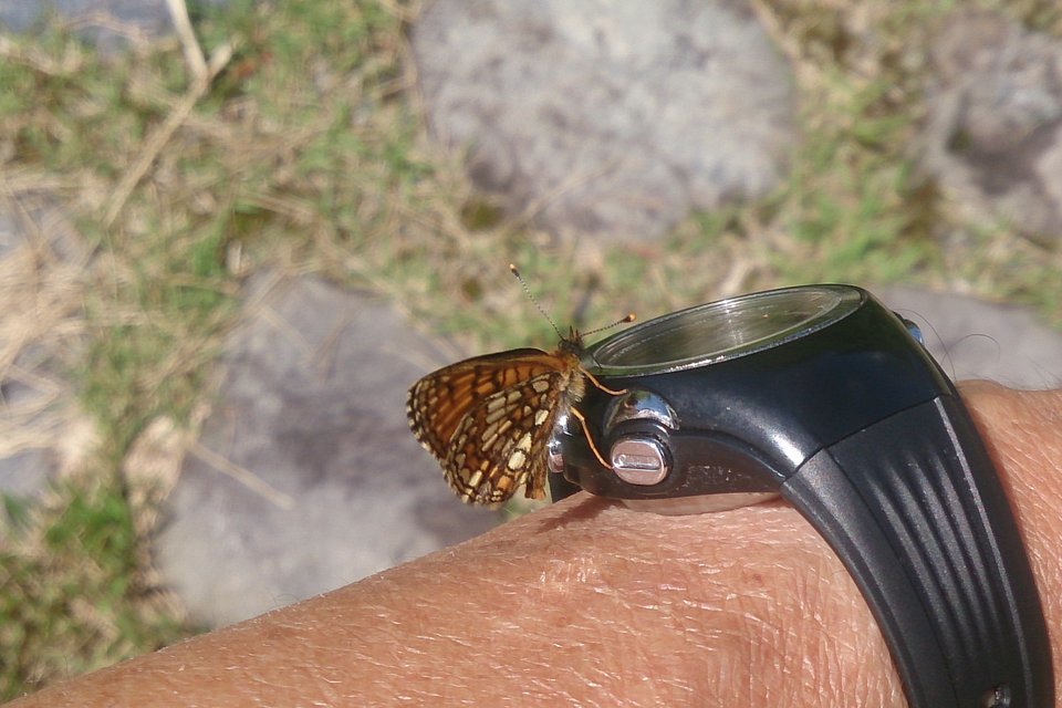 f0373486_13070259.jpg