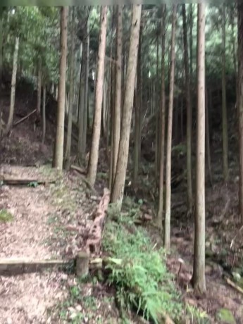 e0264287_08382284.jpg