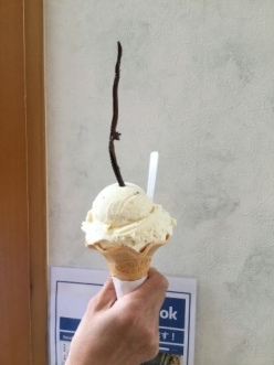 念願の サンショウウオジェラード!!_a0096989_11004388.jpg