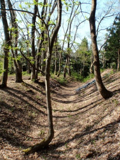 堀跡と石垣と時の流れと~柏木城址_a0096989_14080624.jpg