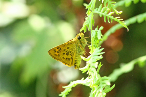 d0353091_08280996.jpg