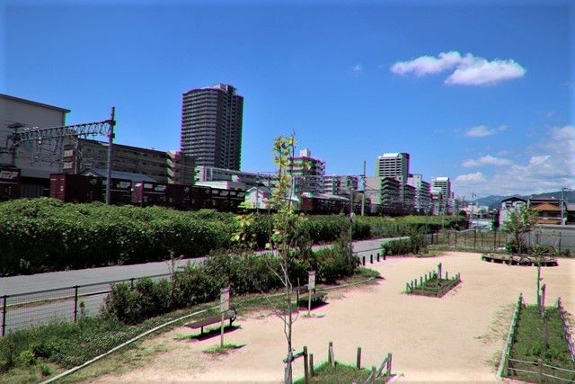 d0181492_16434583.jpg
