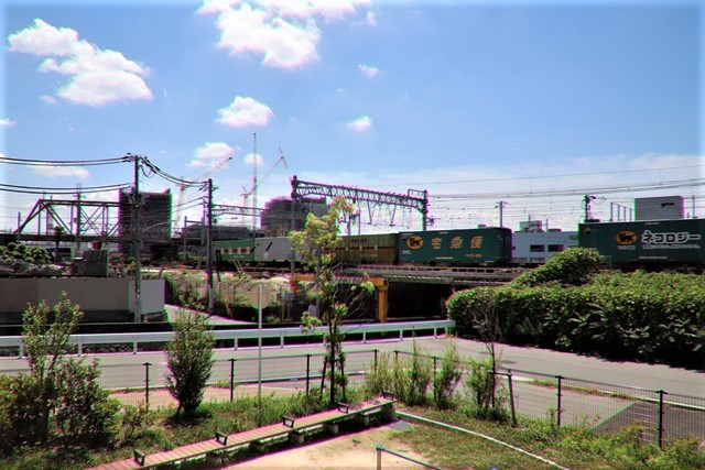 d0181492_16445793.jpg