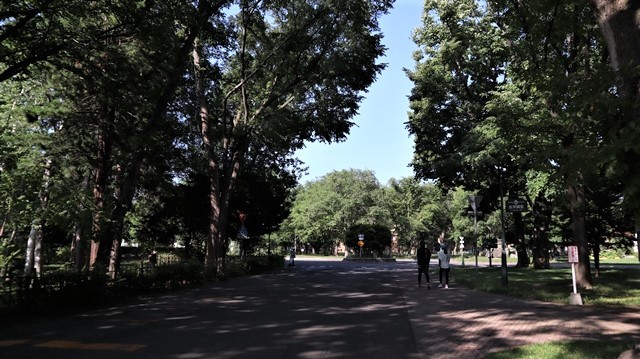 我が母校北海道大学を訪問、久しぶりの思い出に感動。クラーク先生の教え・・・・北海道大学で学んだことの誇りと自信_d0181492_22271823.jpg
