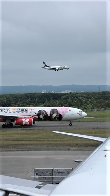 藤田八束の鉄道写真@札幌空港で離発着する飛行機、札幌空港からの貨物列車の写真、楽しい飛行機たちが勢ぞろいした札幌空港_d0181492_22451429.jpg
