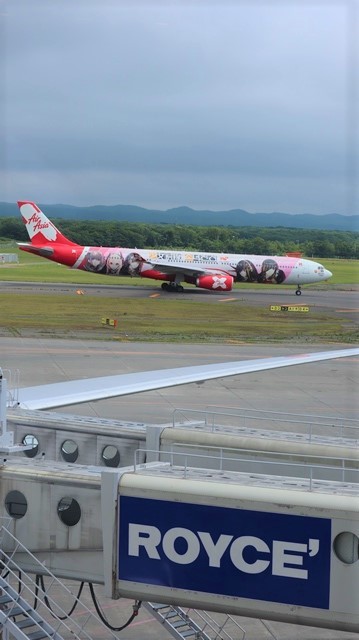 藤田八束の鉄道写真@札幌空港で離発着する飛行機、札幌空港からの貨物列車の写真、楽しい飛行機たちが勢ぞろいした札幌空港_d0181492_22473498.jpg