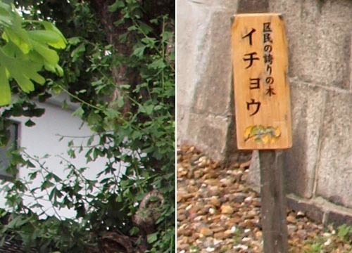 ●神社の造形―大将軍神社(東三条社)、その2_d0053294_01304638.jpg