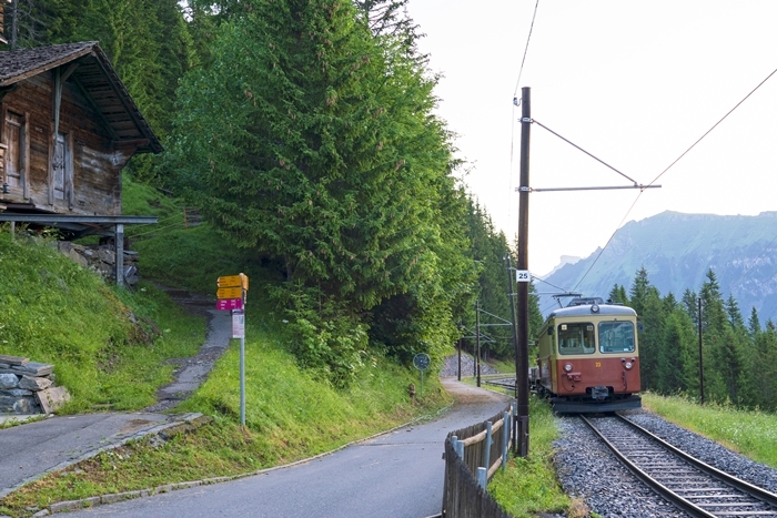 b0145398_22233577.jpg
