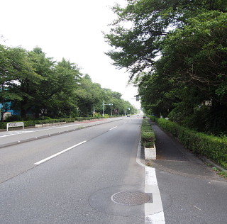 国立STUDIO_c0039501_19185316.jpg
