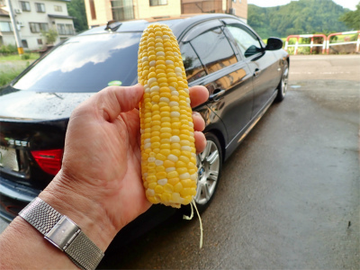 日曜の兼業農家は少しバテ気味_c0336902_21001156.jpg