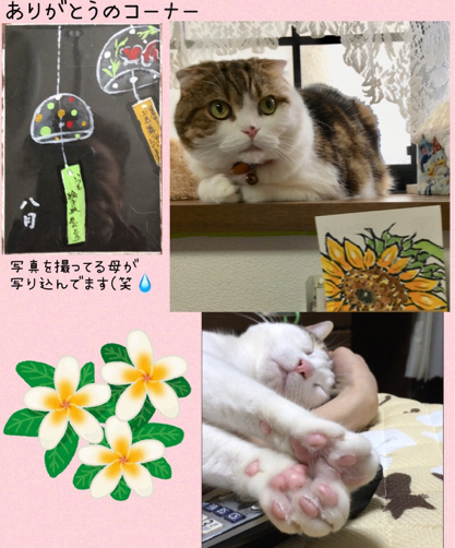 ジジちゃんどらみちゃん リンゴちゃん_f0375804_08070442.jpg