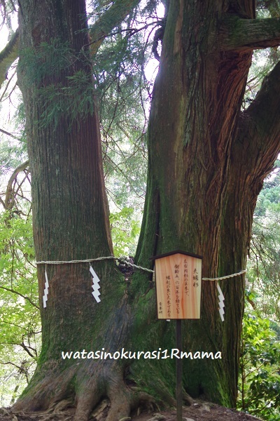 登山トレーニング リベンジ_c0365711_19222314.jpg