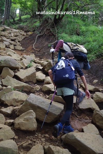 登山トレーニング リベンジ_c0365711_19225411.jpg