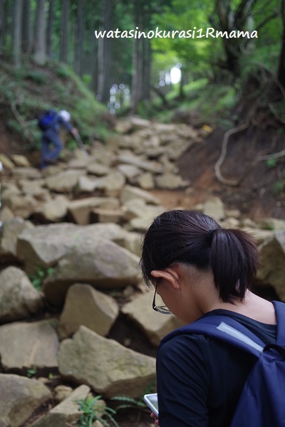 登山トレーニング リベンジ_c0365711_19231977.jpg