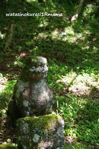 登山トレーニング リベンジ_c0365711_19234089.jpg