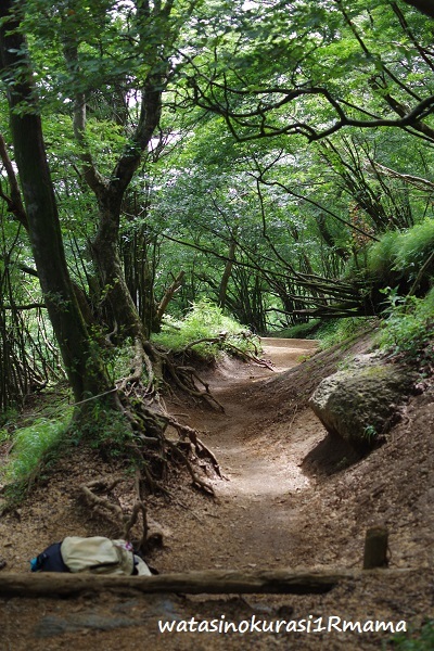 登山トレーニング リベンジ_c0365711_19242770.jpg
