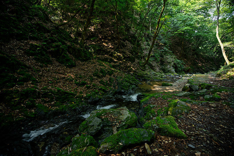 f0032011_18343412.jpg