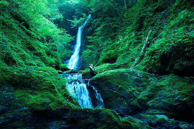 f0032011_18343585.jpg