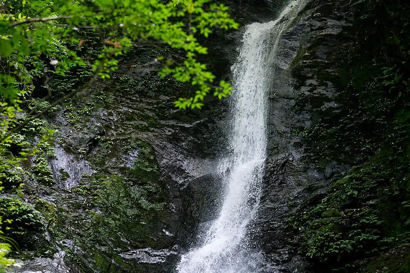 f0032011_19324997.jpg