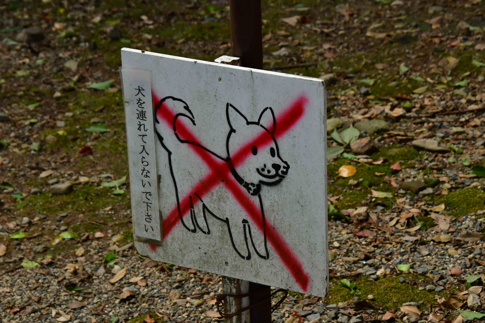 b0223512_23095543.jpeg