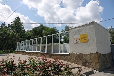 a0151913_371526.jpg