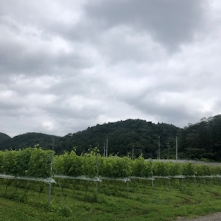 e0305824_14002857.jpg