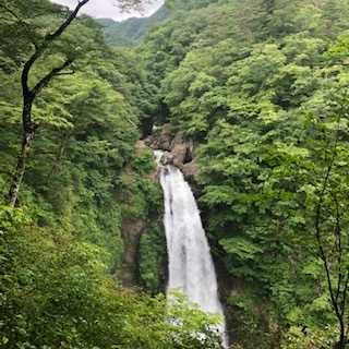 e0305824_14105528.jpg