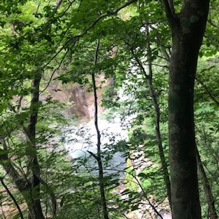 e0305824_14110871.jpg