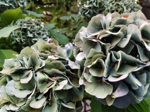 e0016828_09554518.jpg