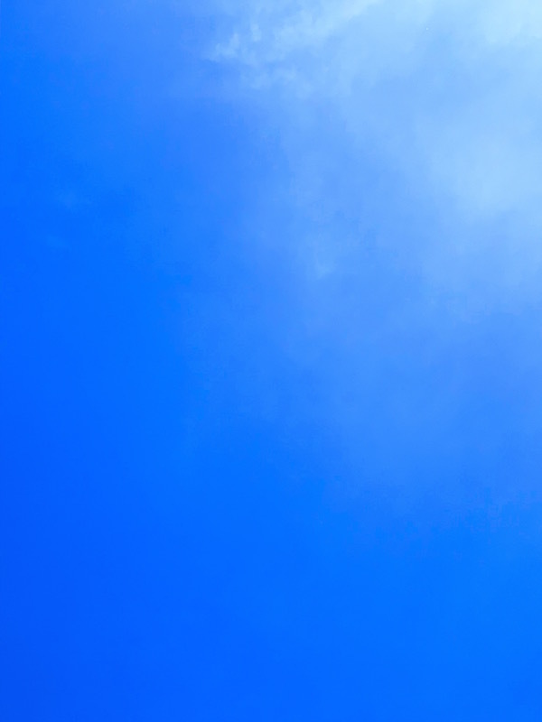 b0172633_14391638.jpg