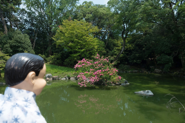 京都御所の鮮やかサルスベリ_e0369736_21232150.jpg