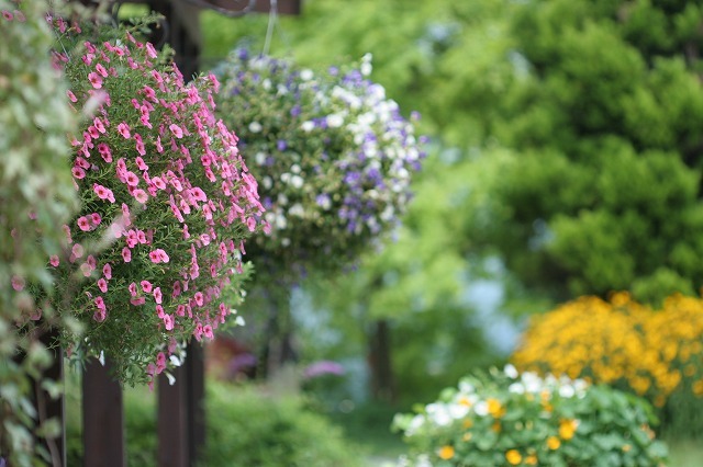 a0242438_22303236.jpg