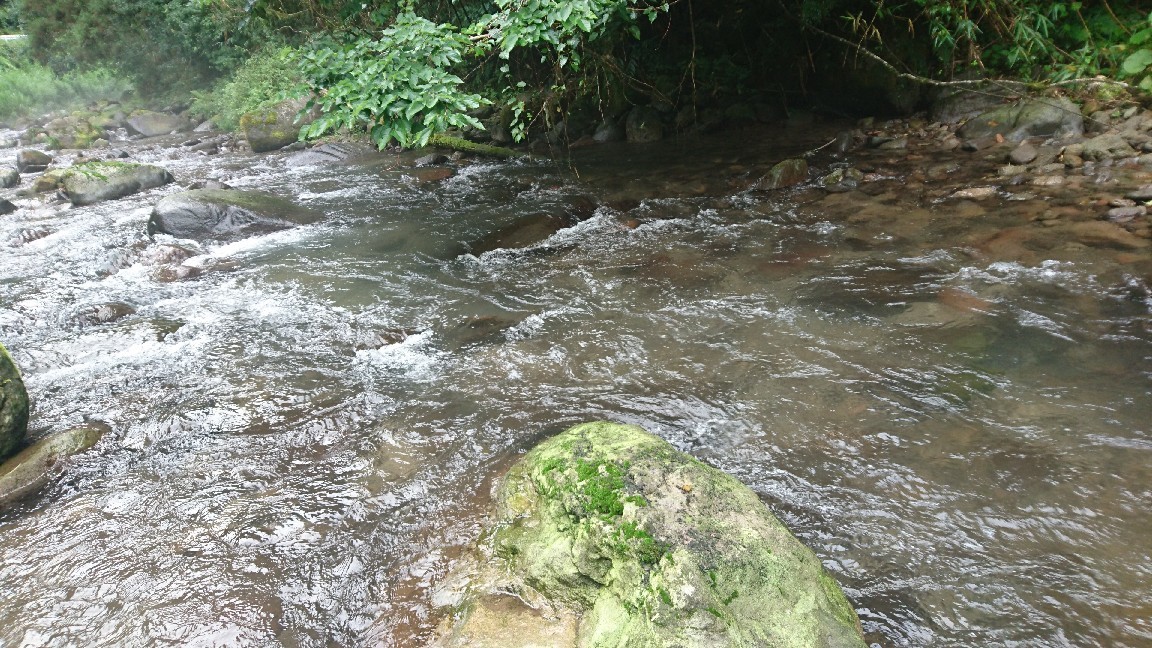 a0201743_08512524.jpg