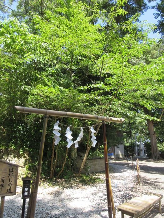 【上総の国一之宮】玉前神社【18きっぱー】_b0009849_181230100.jpg