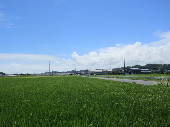 【18きっぱー】九十九里浜一宮海岸【上総一ノ宮】_b0009849_19421064.jpg