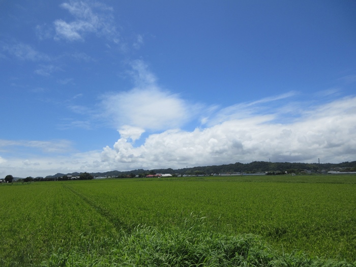 【18きっぱー】九十九里浜一宮海岸【上総一ノ宮】_b0009849_19432725.jpg