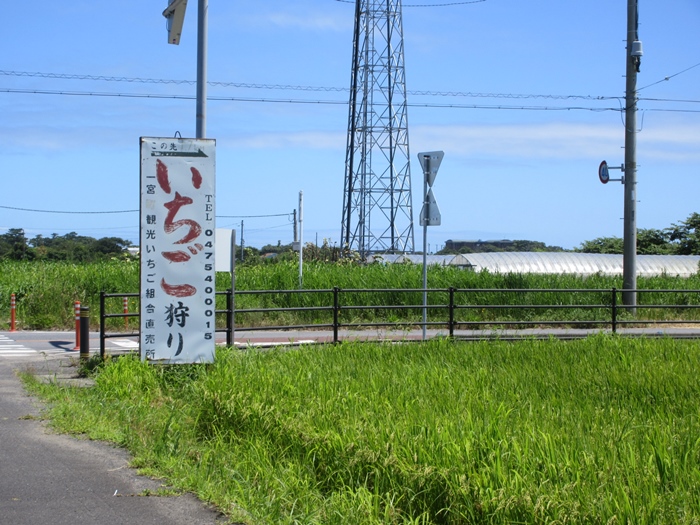 【18きっぱー】九十九里浜一宮海岸【上総一ノ宮】_b0009849_19443430.jpg