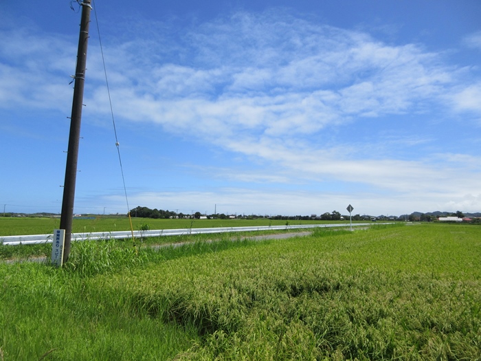 【18きっぱー】九十九里浜一宮海岸【上総一ノ宮】_b0009849_19492063.jpg