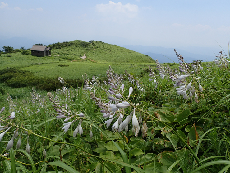 f0214649_19512381.jpg