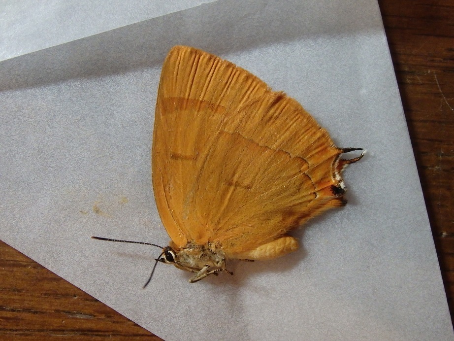 a0235150_20442728.jpg