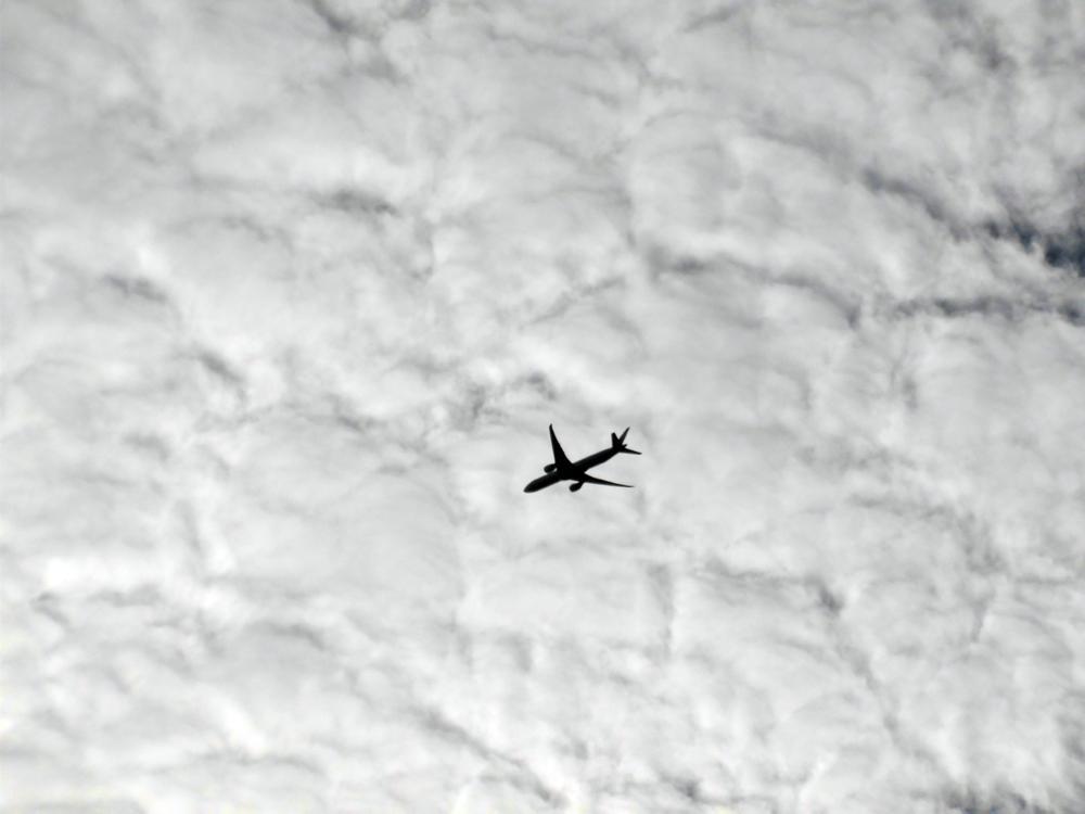 e0024554_21282821.jpg