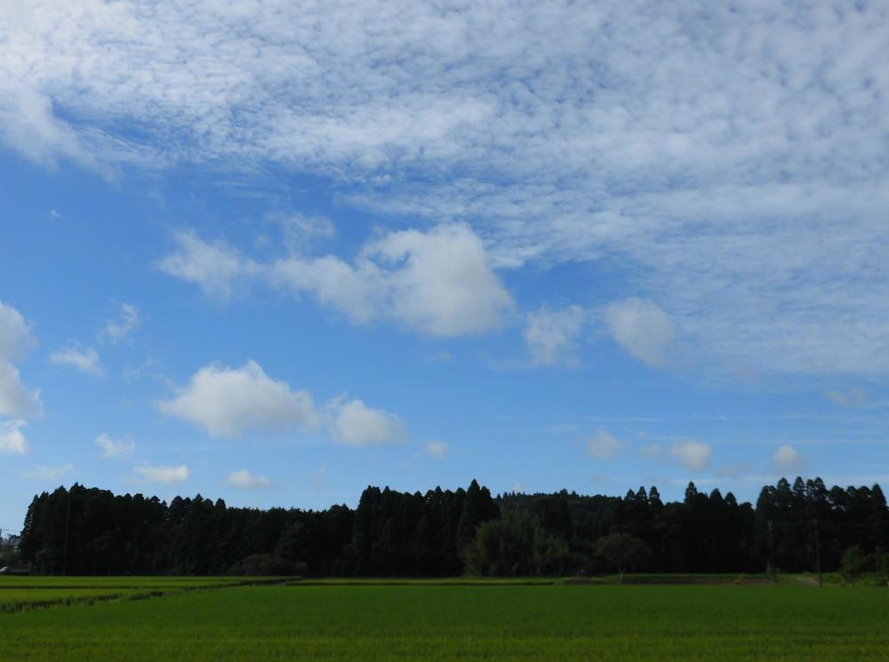 e0024554_21282914.jpg