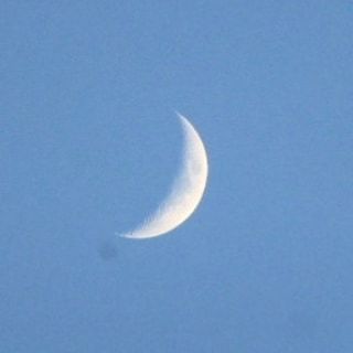 おはようモーニング_c0100865_05353846.jpg