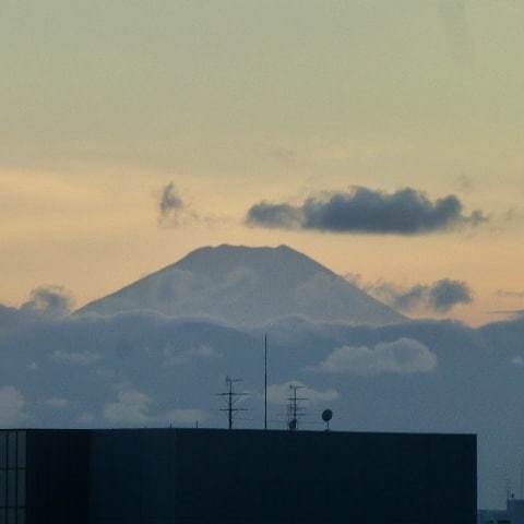 おはようモーニング_c0100865_05353885.jpg