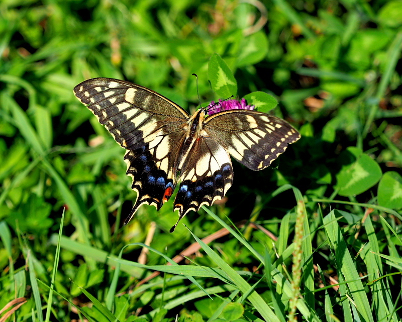 c0305565_17465087.jpg