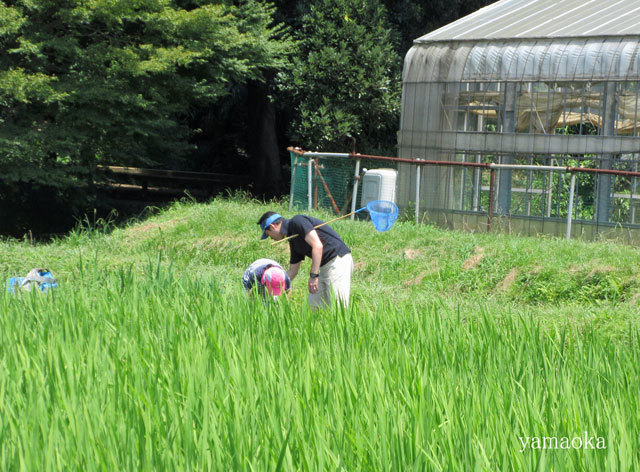 父の荷となり。。。。_f0071480_18291233.jpg