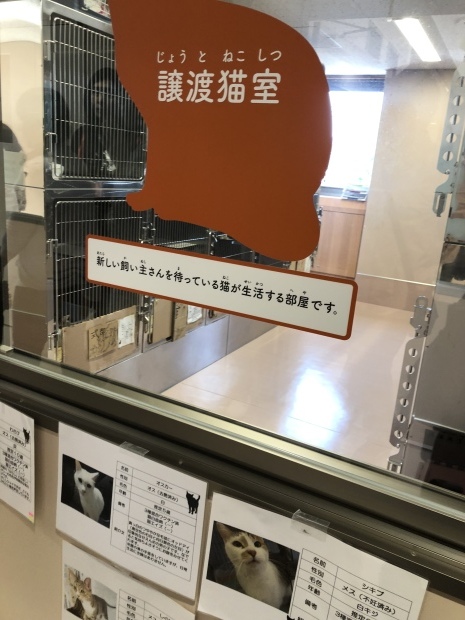 b0377882_16505565.jpeg