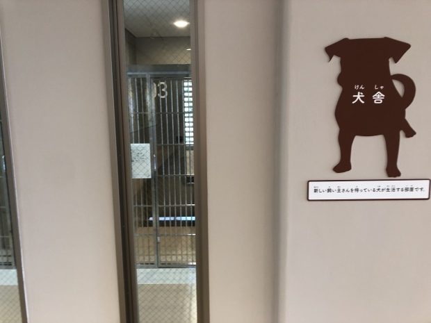 b0377882_16512785.jpeg