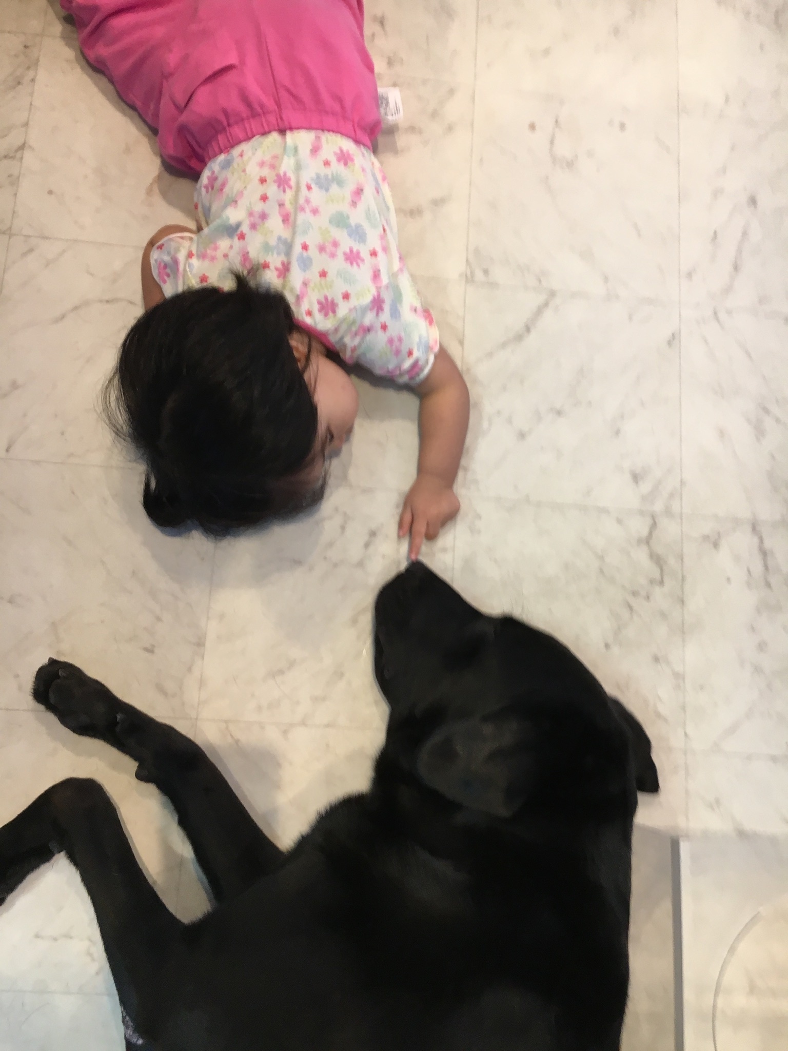 f0347891_04150921.jpeg