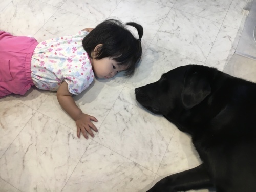 f0347891_04152876.jpeg
